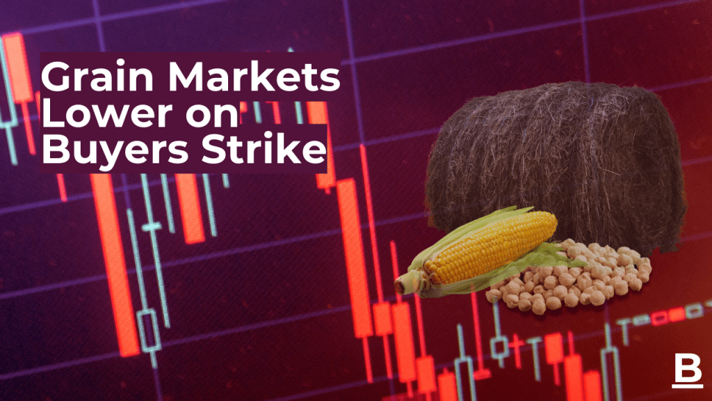 Grain Markets Lower on Buyers Strike Blue Line Futures