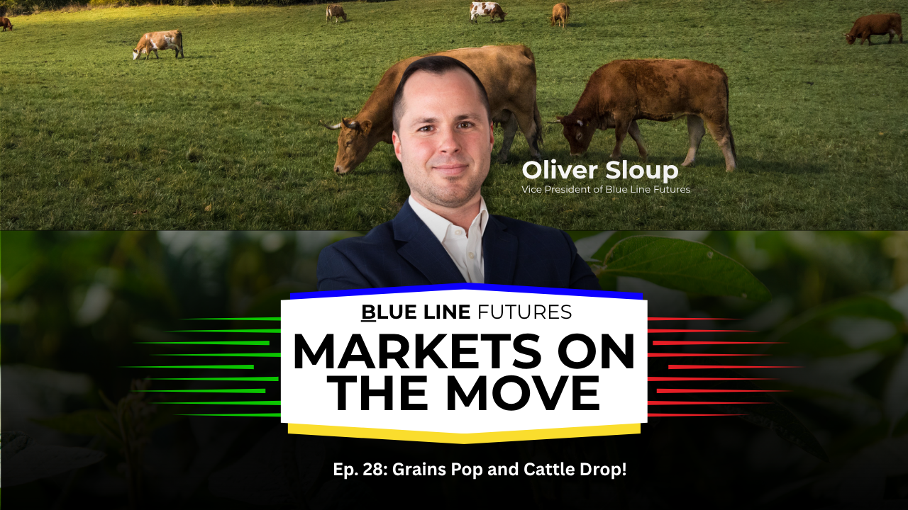 MOTM: Grains Pop and Cattle Drop! Ft. Oliver Sloup Ep. 28 - Blue Line ...